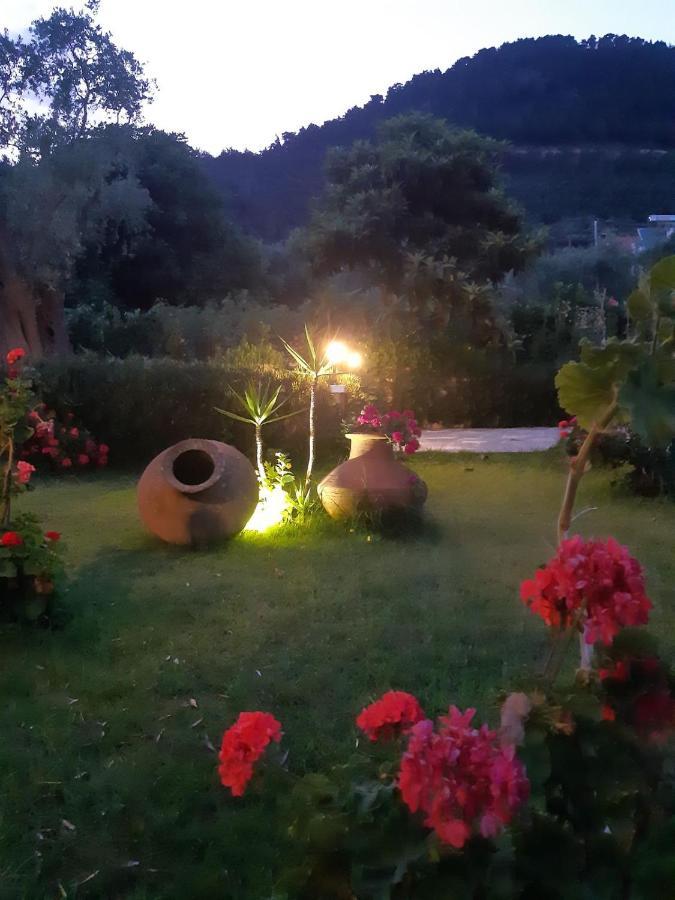 Nostos Studios Golden Beach Chrysi Ammoudia Buitenkant foto