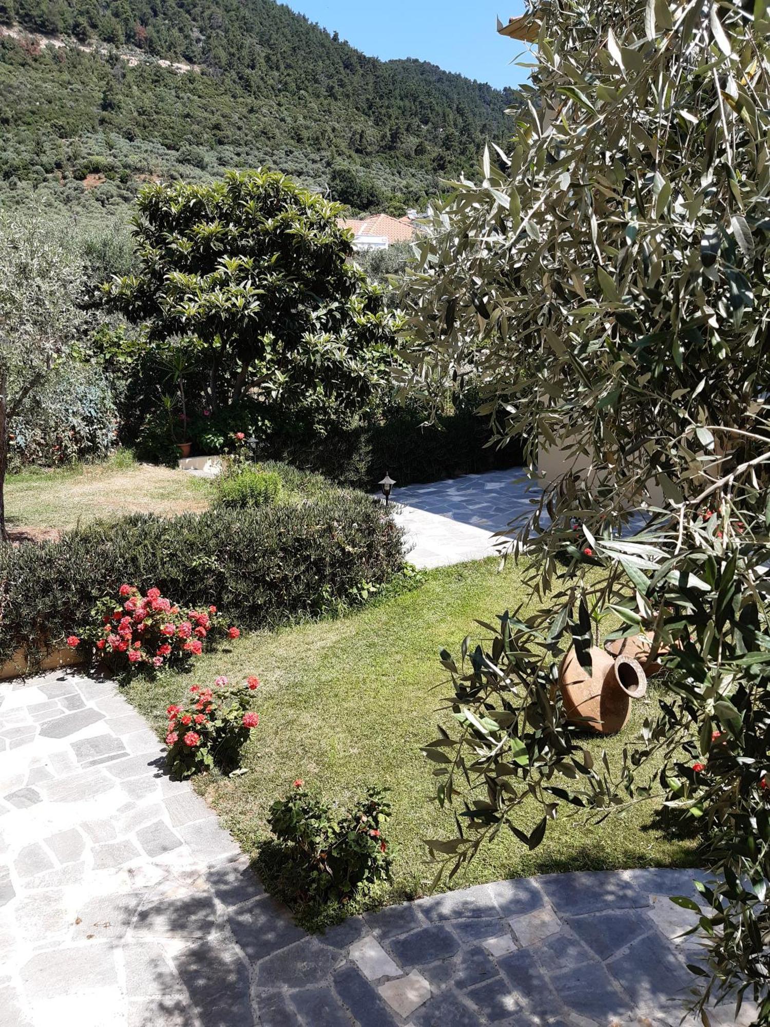Nostos Studios Golden Beach Chrysi Ammoudia Kamer foto